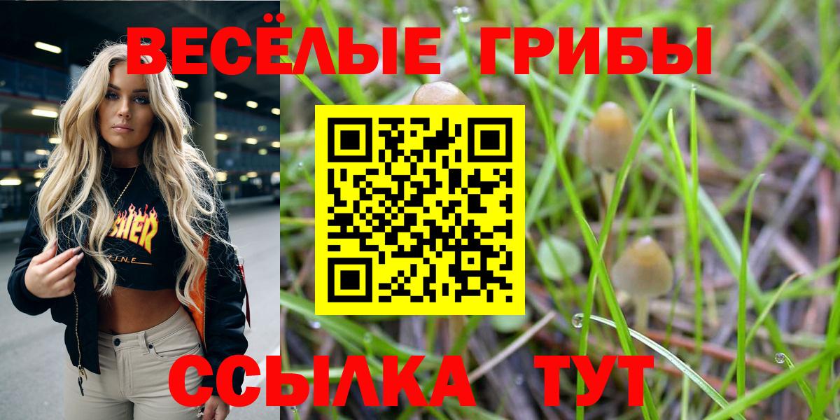 Благовещенск  Галлюциногенные грибы Magic Shrooms  Вход с VPN  где найти   Галлюциногенные грибы мицелий 