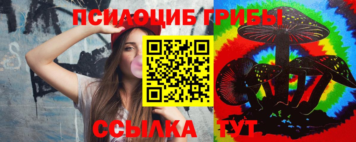 Псилоцибиновые грибы Psilocybe Благовещенск