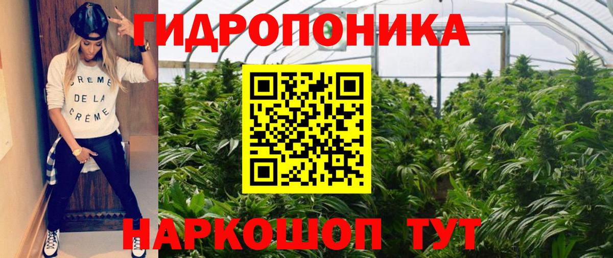 Бошки Шишки план Благовещенск